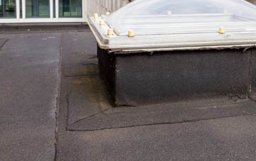 disadvantages of Newton Of Boysack flat roofs