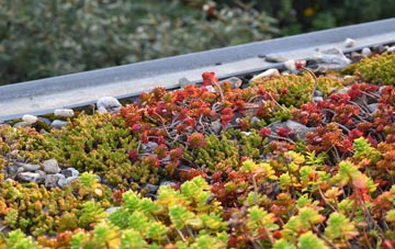 the cost of Newton Of Boysack green roof installation