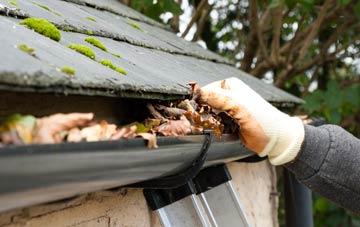 gutter cleaning Newton Of Boysack, Angus