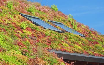Newton Of Boysack living roof systems