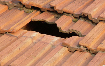 roof repair Newton Of Boysack, Angus