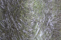 Newton Of Boysack fibreglass roof work