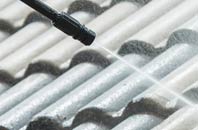 rated Newton Of Boysack roof cleaning companies